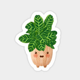 Cute Plant Illustration, Calathea Zebrina Plant Illustration Sticker